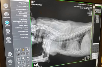 Radiology is a key service we offer