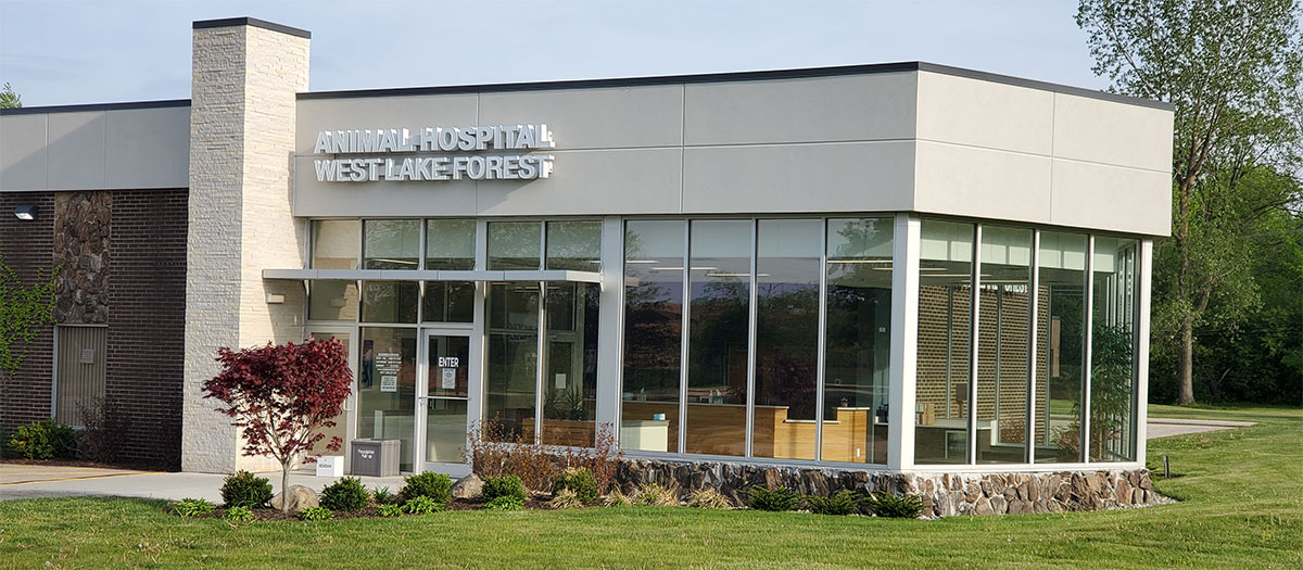 Animal Hospital of West Lake Forest