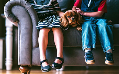 Children Can Help With Pet Care Tasks