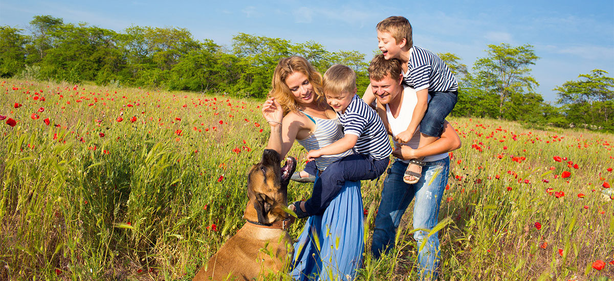 Pets Lead to More Physical Activity and Socialization