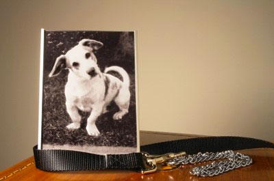 Ways to Memorialize Your Pet