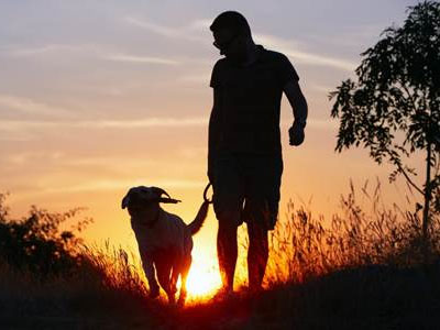Summer Exacerbates Your Pet’s Breathing Problems