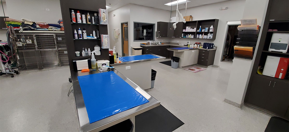 Lake Forest Veterinary Services