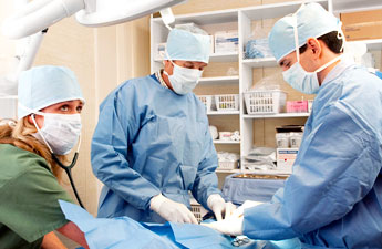 Your Pet's Surgery