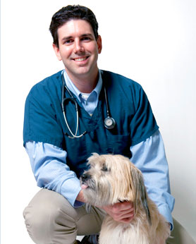 Dr. Brian DiFuccia