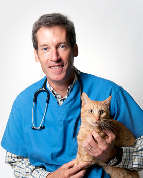 Dr. David McKenna