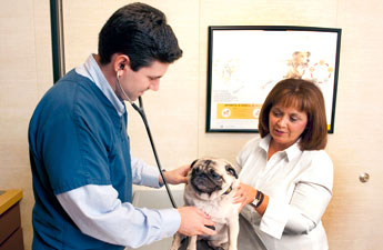 Vaccinations are part of your pet's health care plan